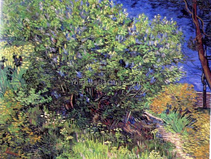 丁香 - 文森特·威廉·梵高